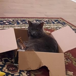 Meet your Posher, Plume's